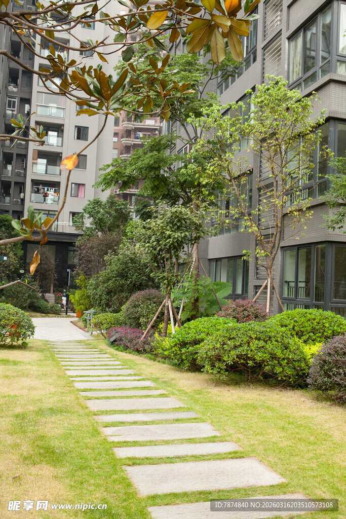 小区内的静谧绿化小径