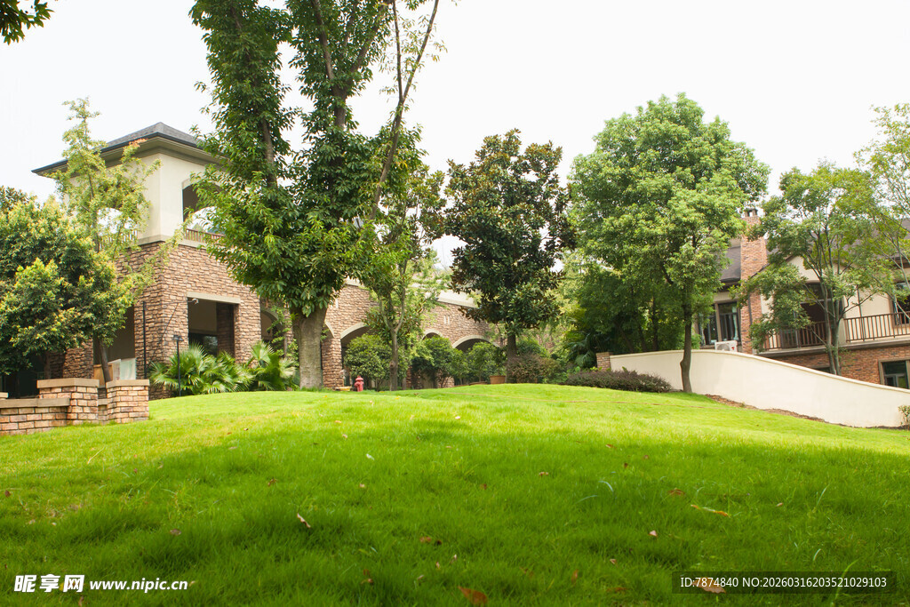 庭院绿意盎然的美丽景致