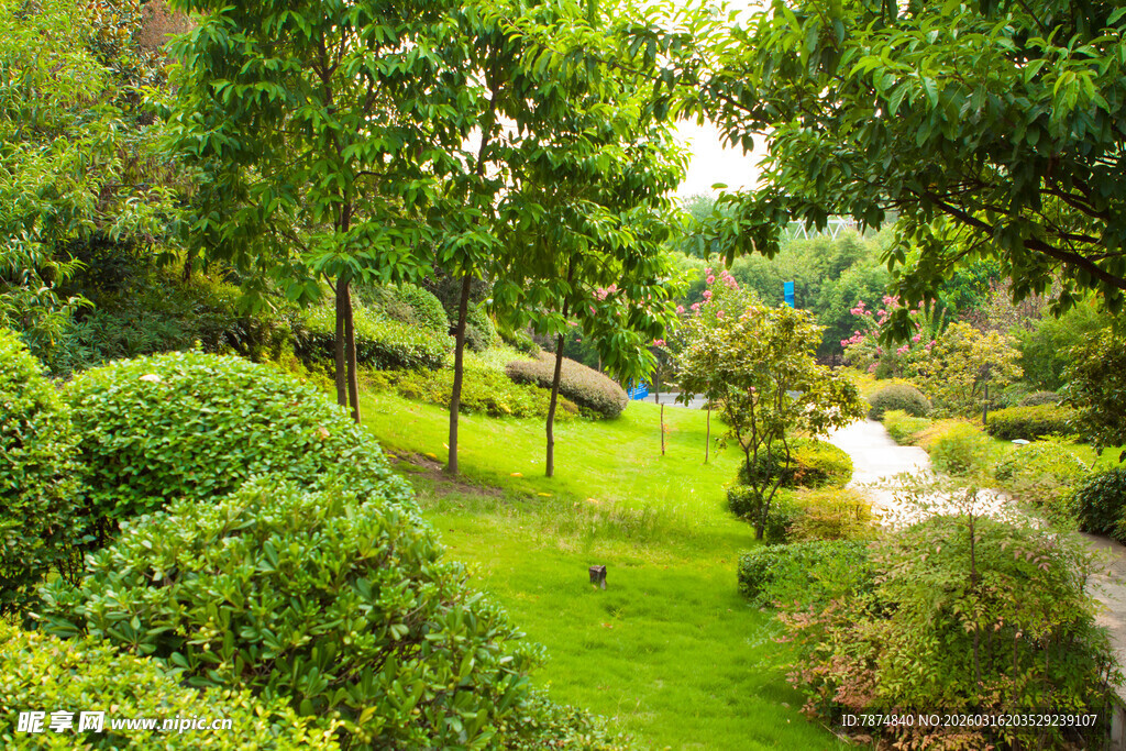 绿意盎然的静谧园林景观