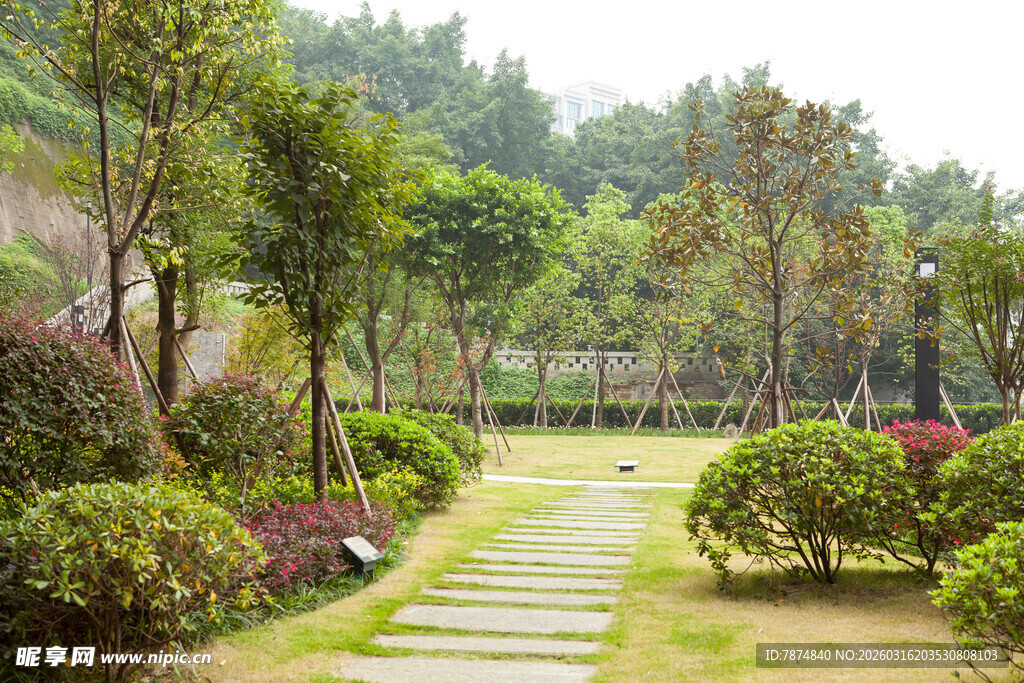 林间漫步小径 绿植环绕