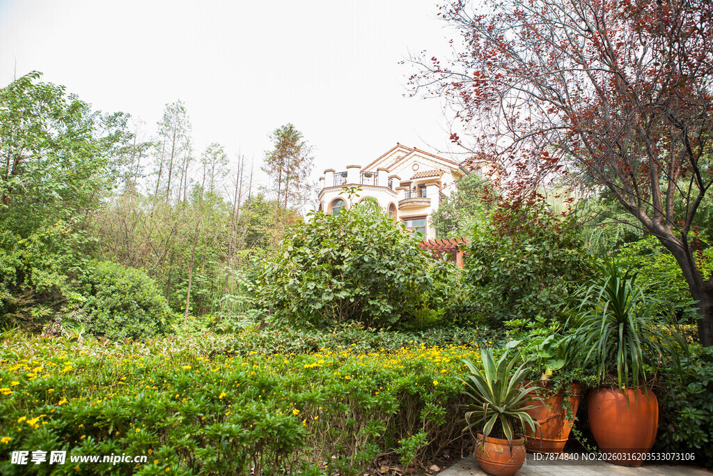 庭院绿植景观 生机盎然