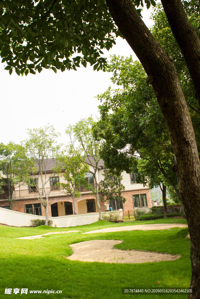 绿树环绕的静谧庭院