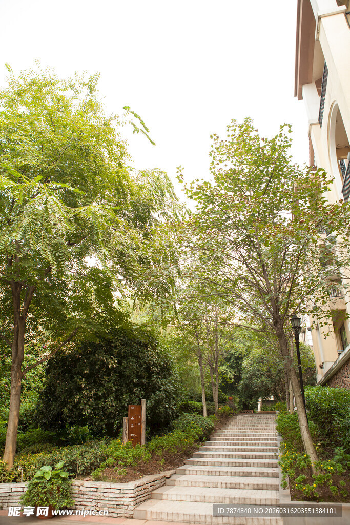 小区内绿意盎然的步道