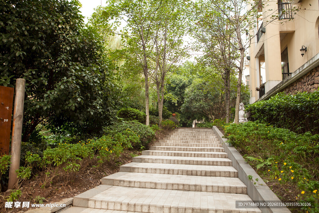 林间石阶小道 静谧自然