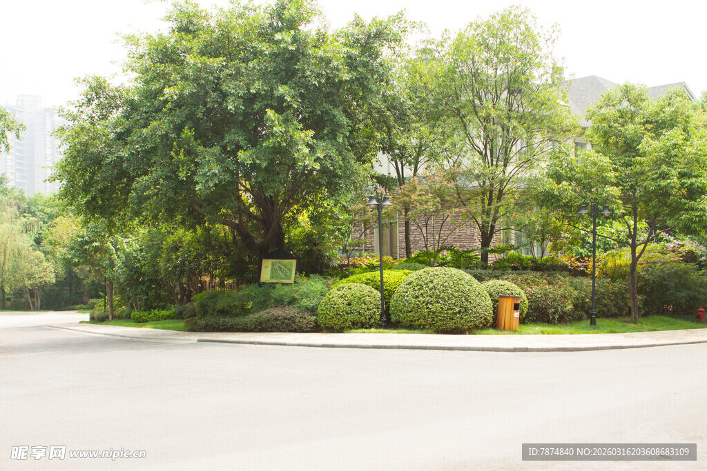 绿意盎然的道路旁园林景观