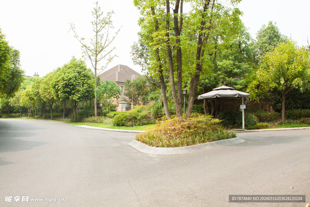 宁静的林间道路与凉亭