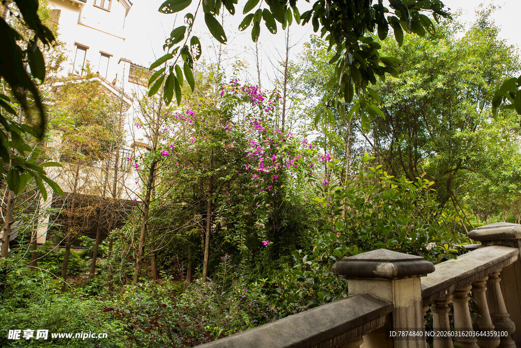 花园中的繁茂绿植与木栏