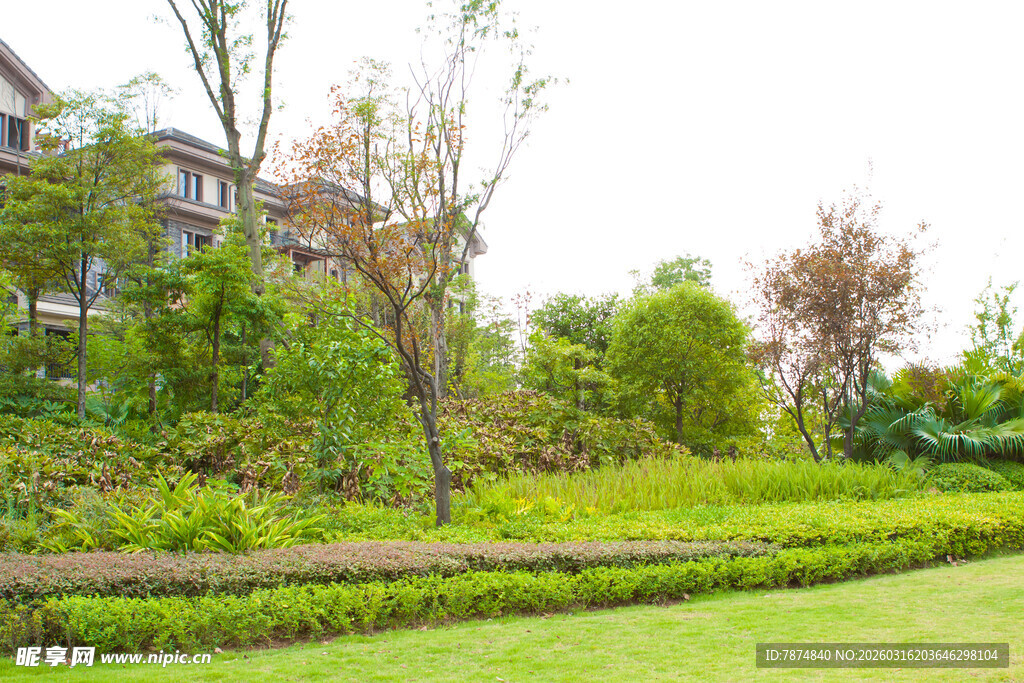 精致园林景观一角