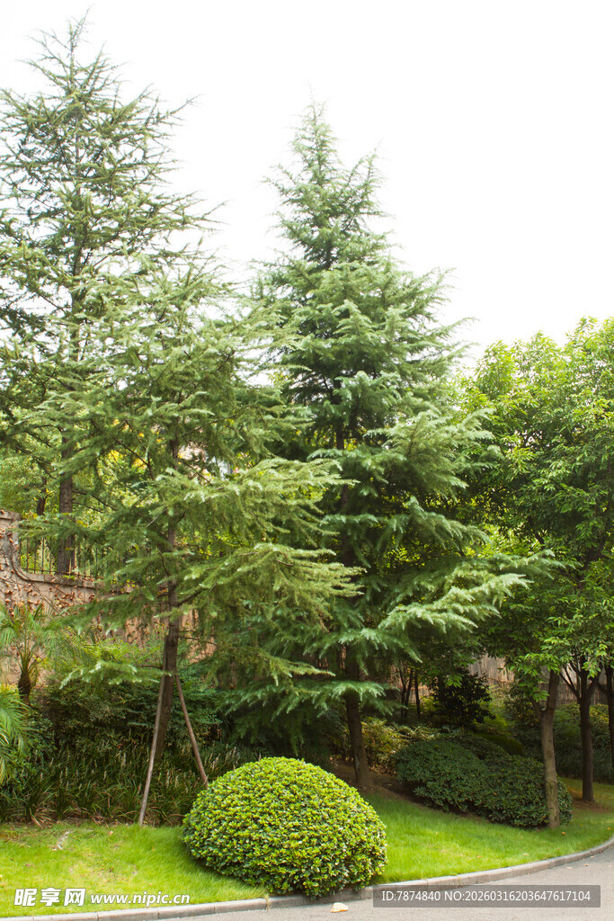 绿意盎然的园林景观