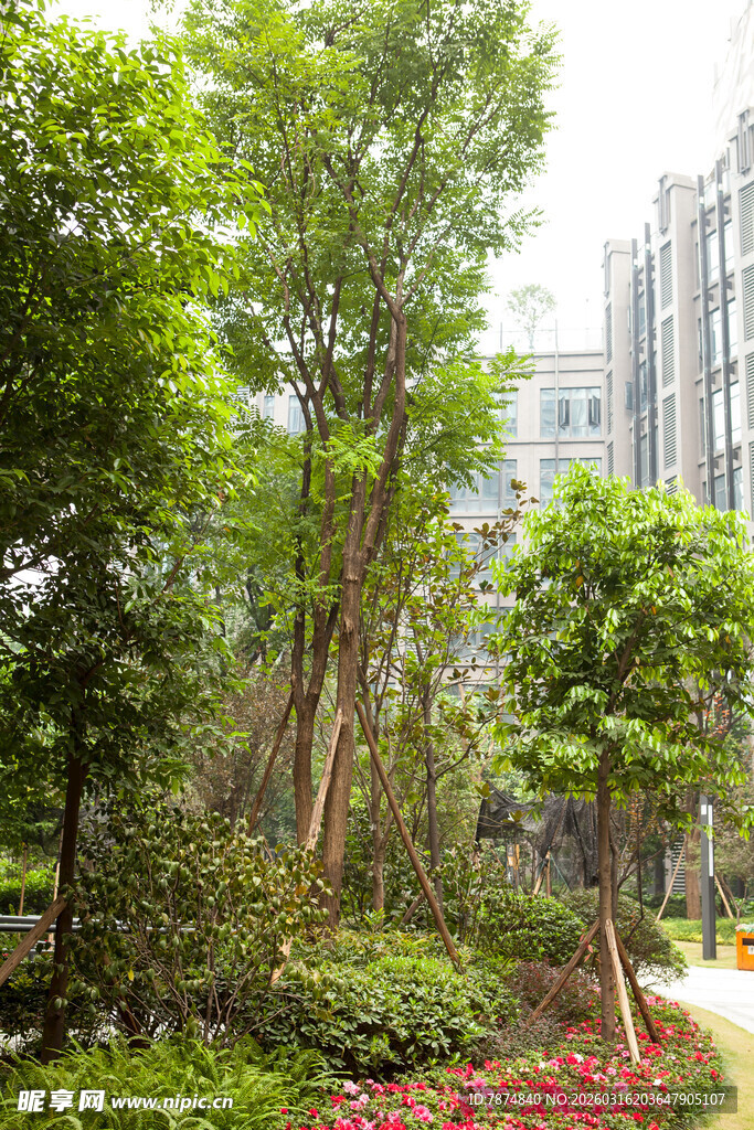 城市中的绿意盎然景观