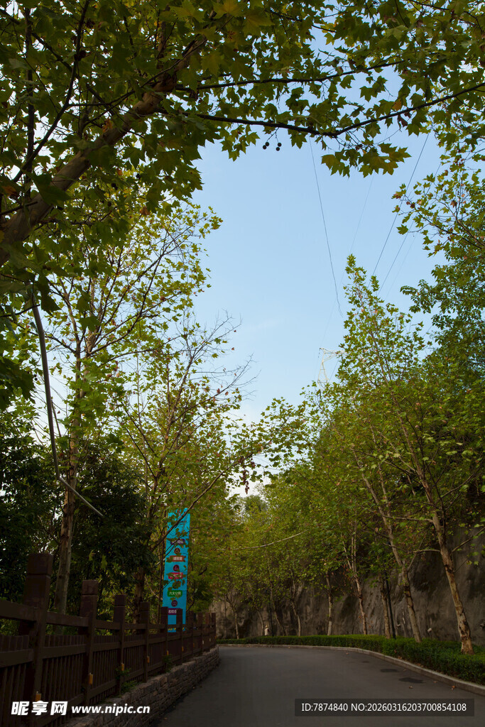 林间蜿蜒小路 绿意盎然