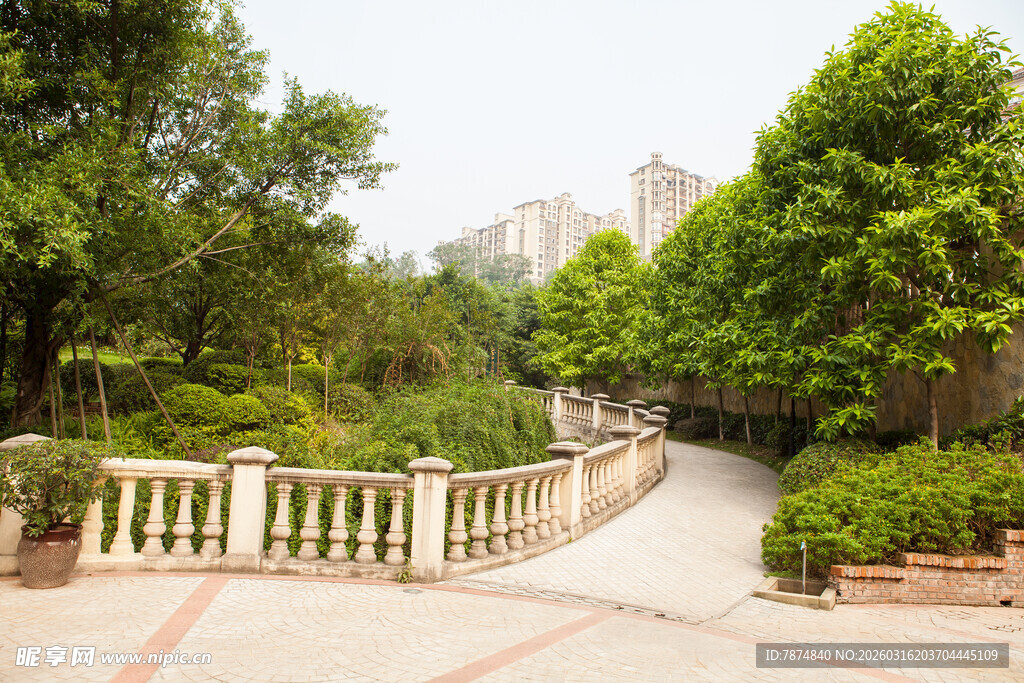 园林小径旁的葱郁绿植