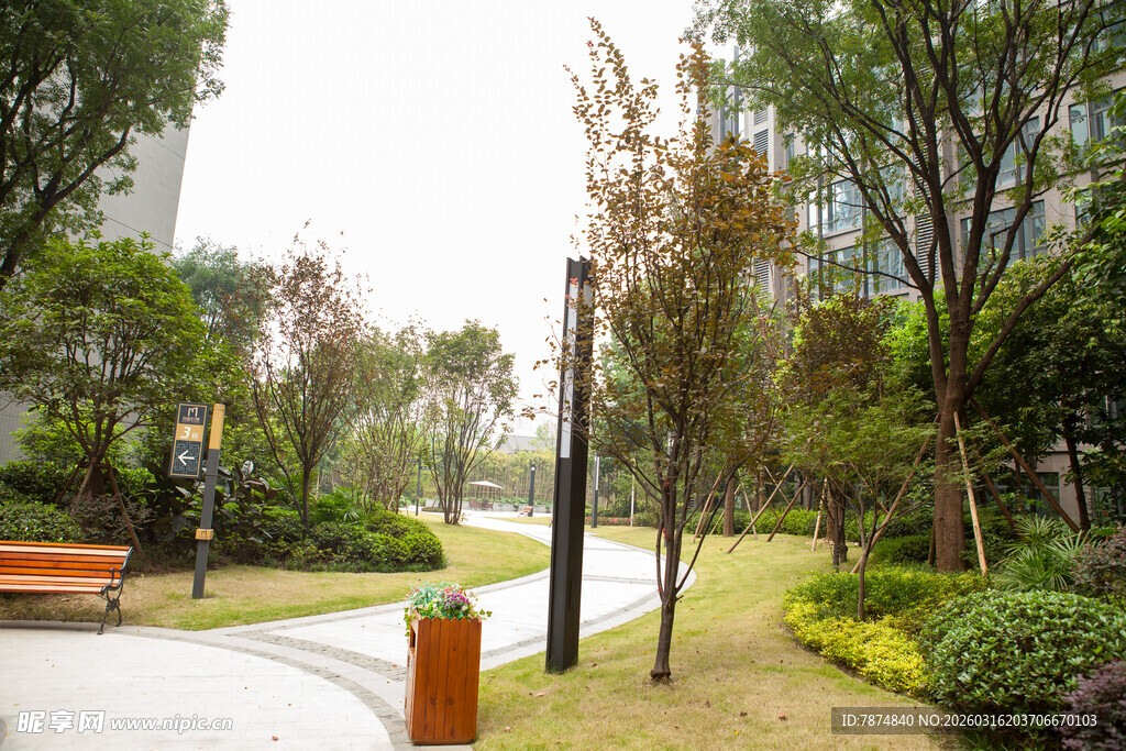 城市公园静谧步道景观