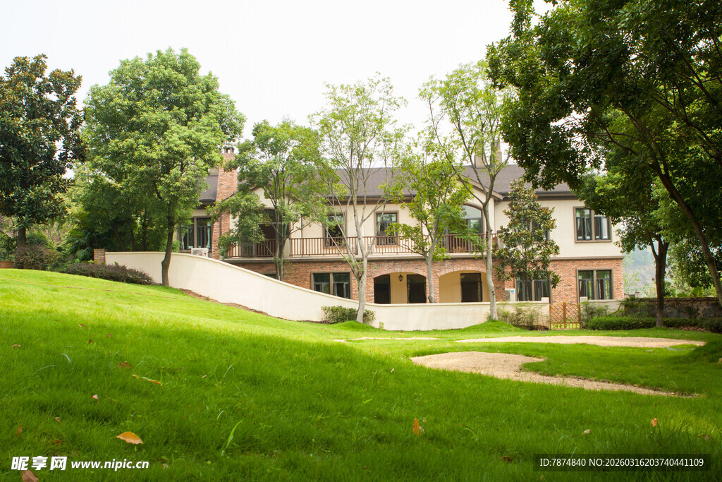 绿树环绕的精美别墅