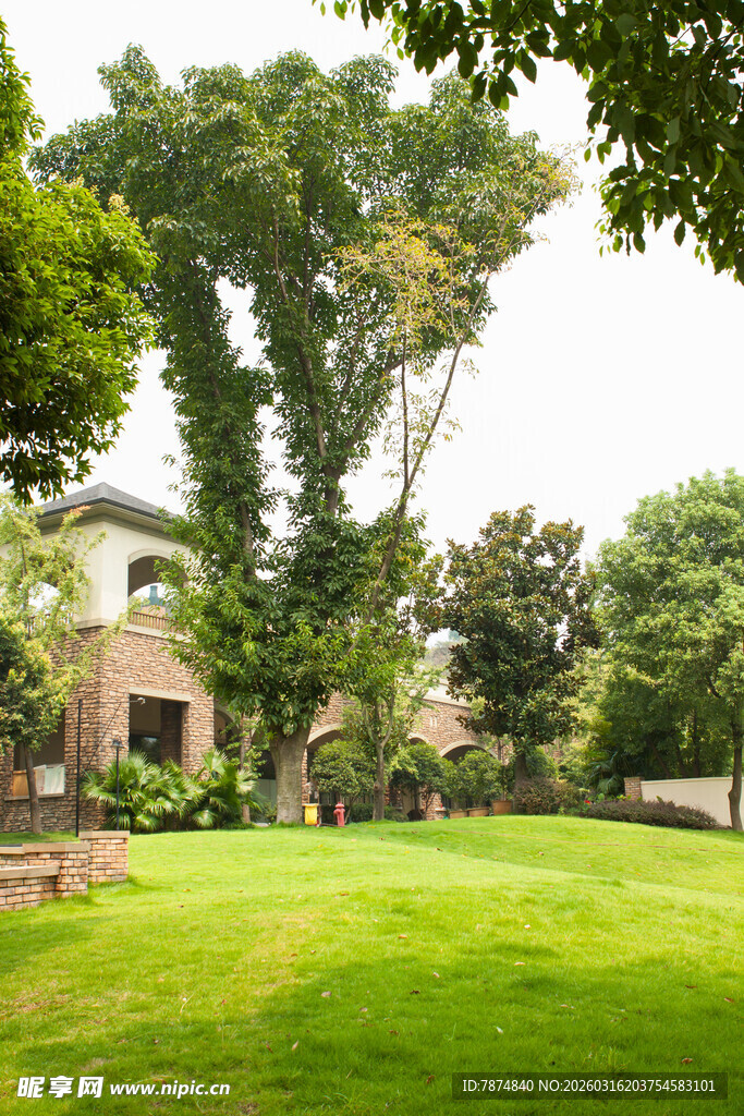 庭院绿意园林景观