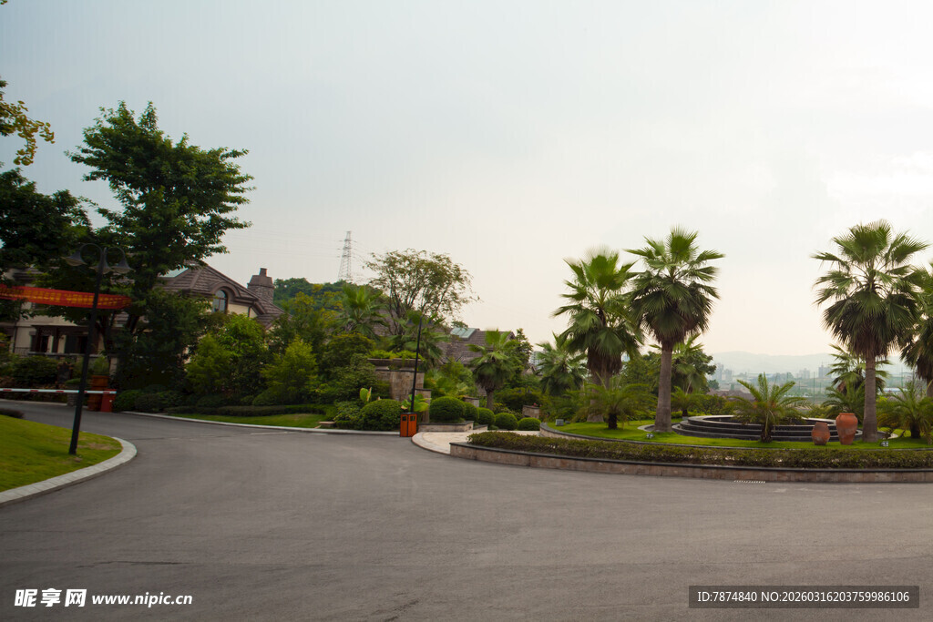 蜿蜒公路旁的绿植景观