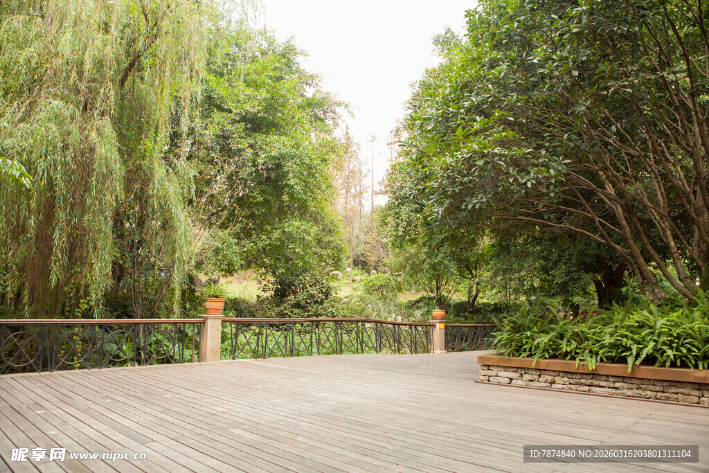 林间木质露台 绿意环绕