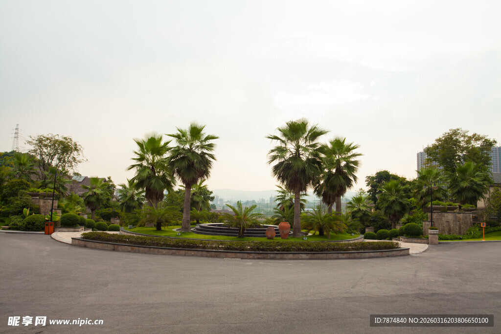 环形道路旁的葱郁绿植