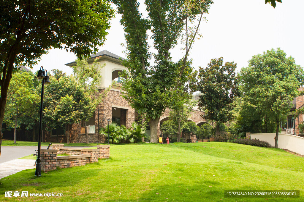 优雅庭院绿植环绕景致美