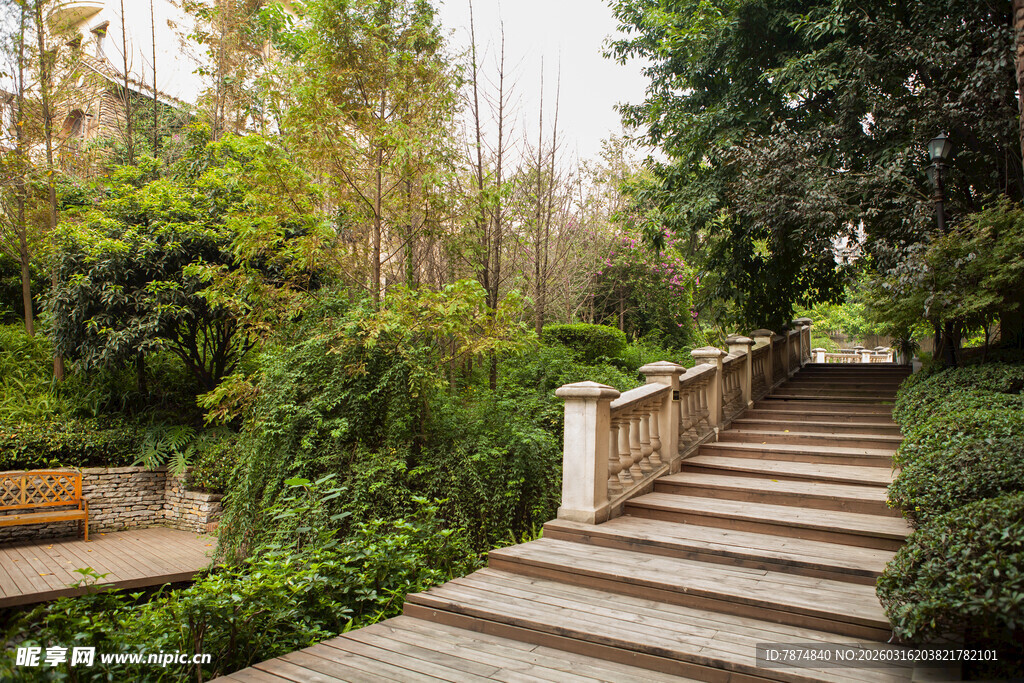 花园中的木质台阶景观