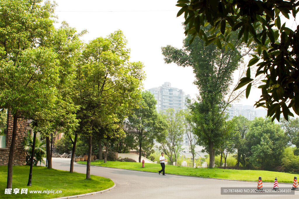 公园蜿蜒小径绿树环绕