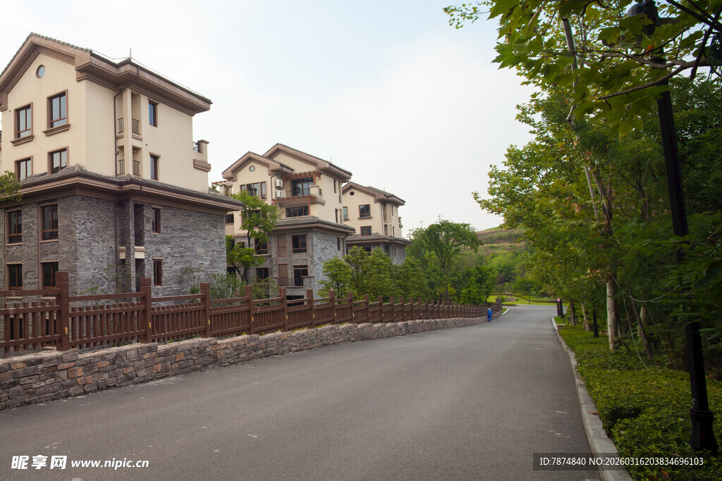 城郊宁静街道旁的精致住宅