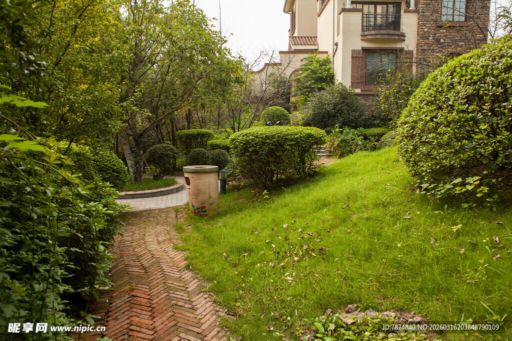 庭院绿植小径景观