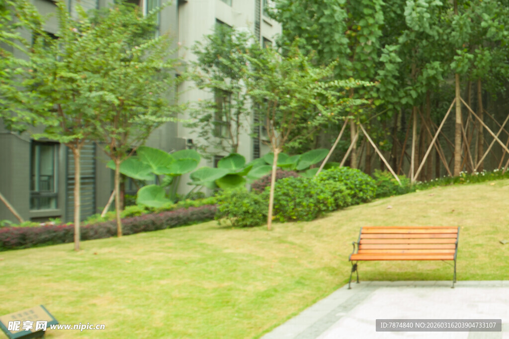 庭院绿植与休闲长椅景观