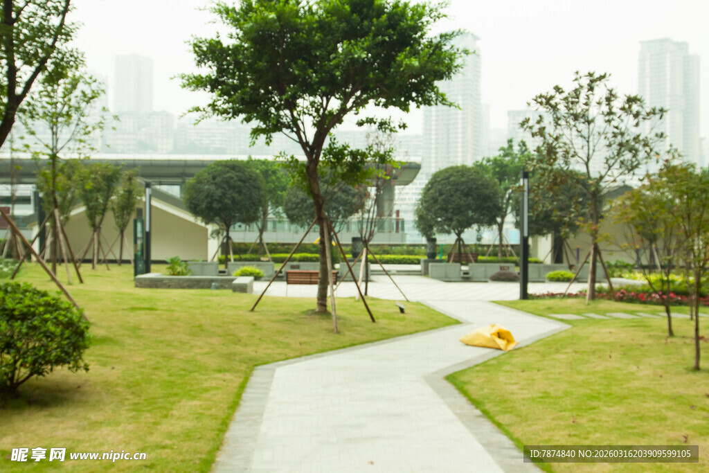 城市中静谧的绿化小径