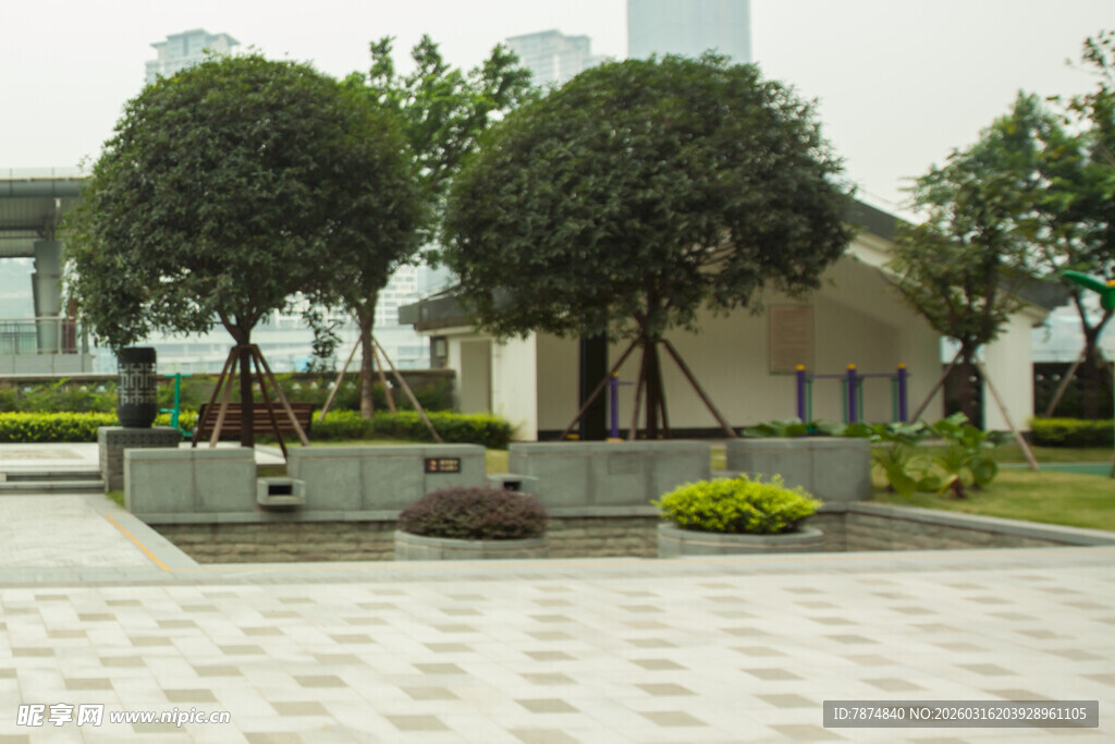 城市广场绿植景观