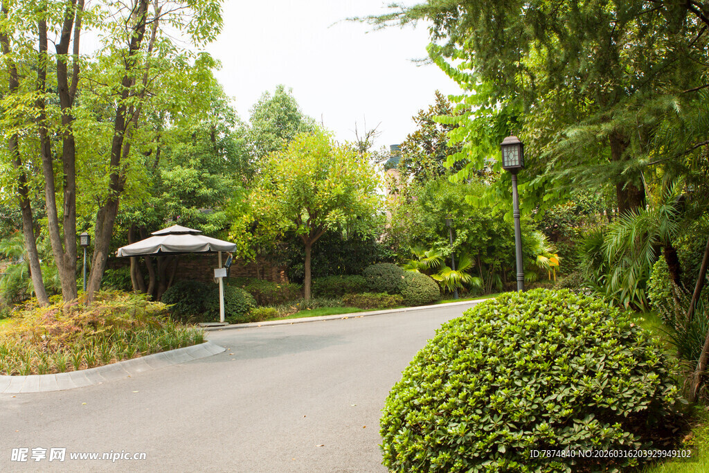 林间清幽小径与绿植景观