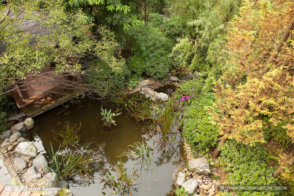 自然溪边绿植环绕景致