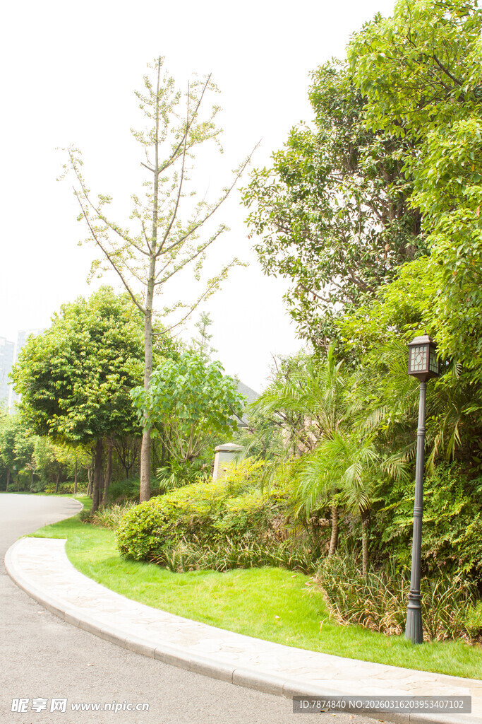 蜿蜒小路旁的绿意景致