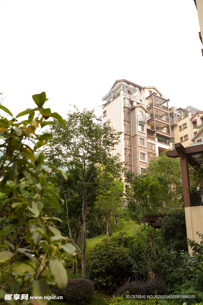 绿植环绕的现代建筑景观