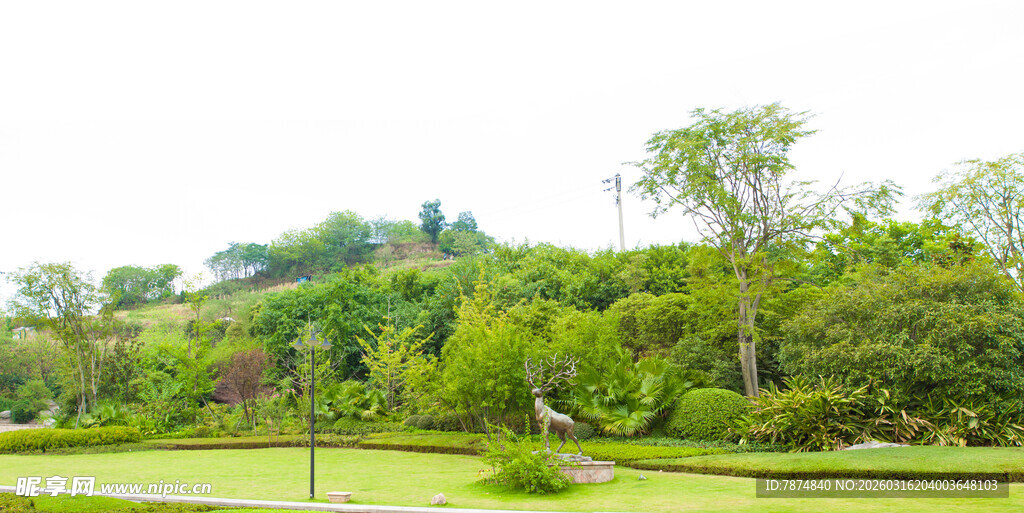 绿意盎然的户外风景