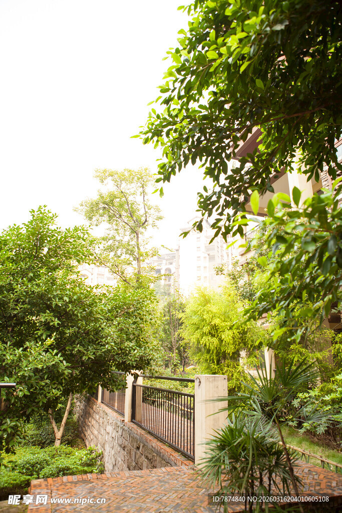 静谧庭院绿植环绕之景