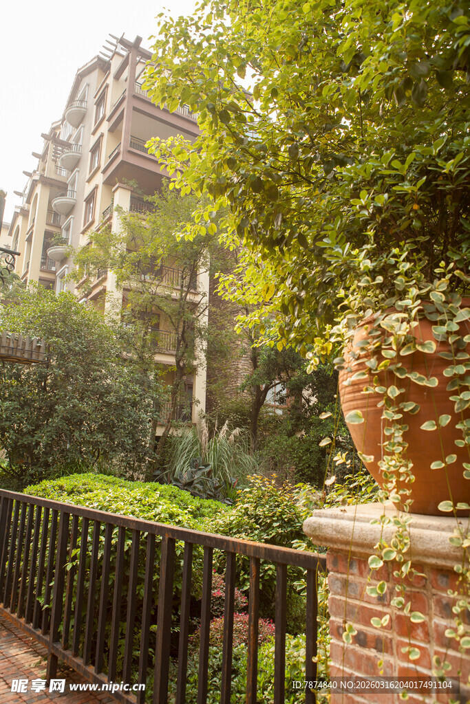 优雅庭院绿植环绕建筑