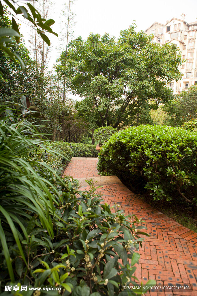 庭院绿植环绕的红砖小径