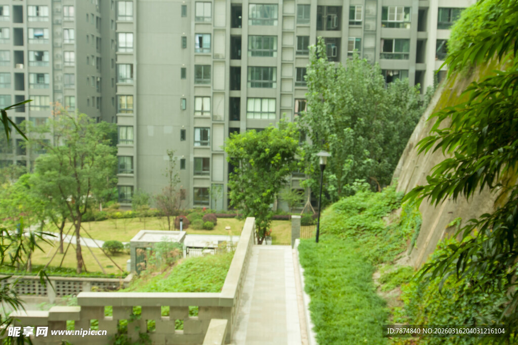 小区内的绿植景观与步道