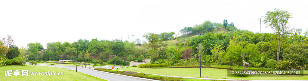 绿意盎然的自然河畔风光