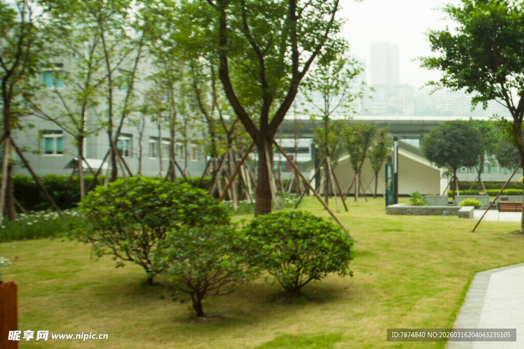 城市绿地中的树木与灌木