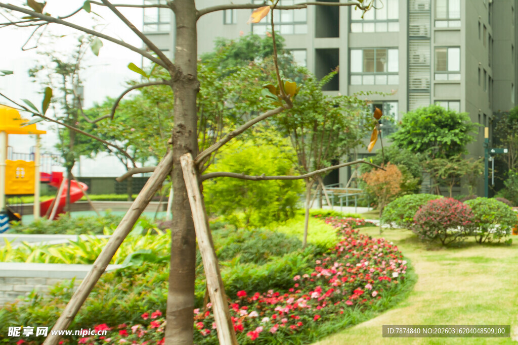 小区内的绿植景观