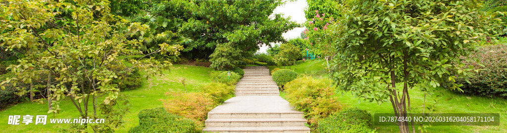 林间小径 绿意盎然