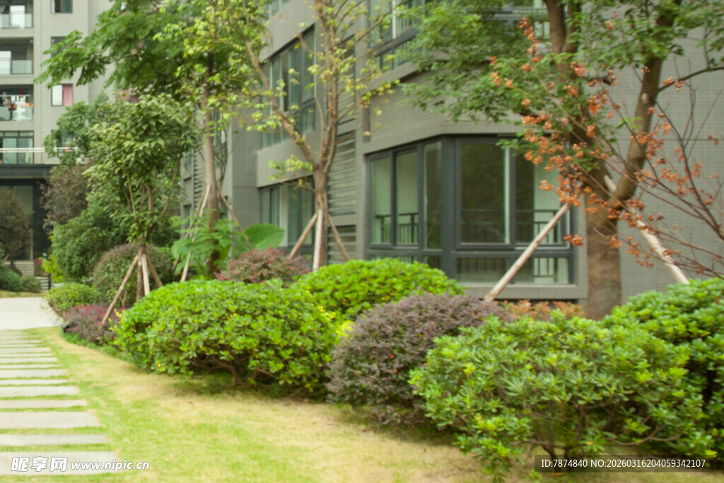 小区绿植环绕的静谧小径