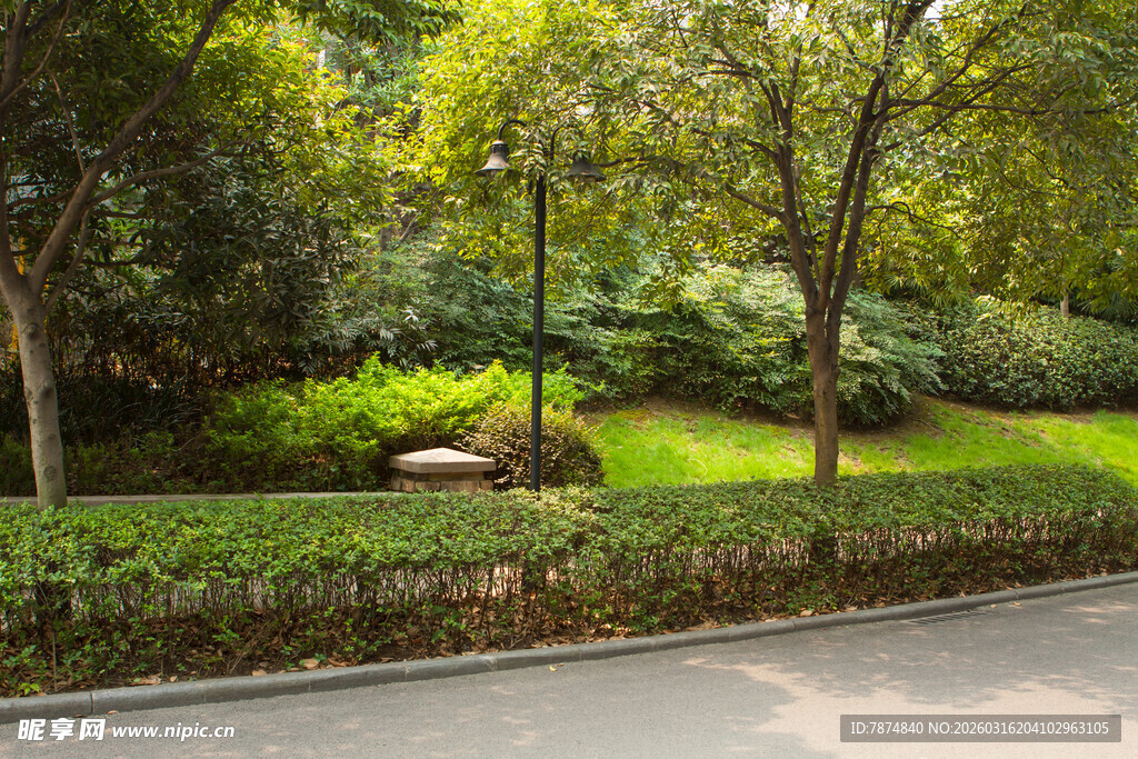 城市路边绿意盎然的景致