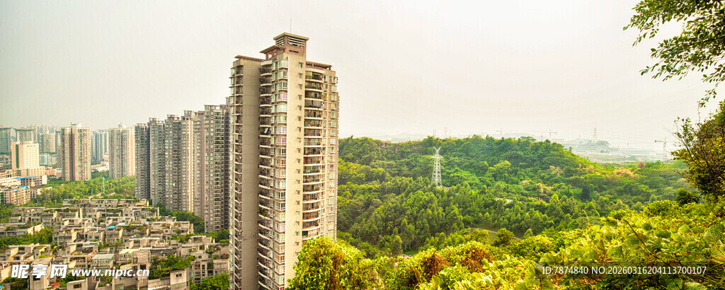 高楼林立间的绿意景观