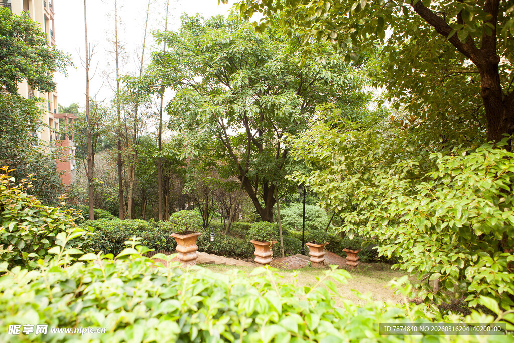 静谧绿意庭院一角