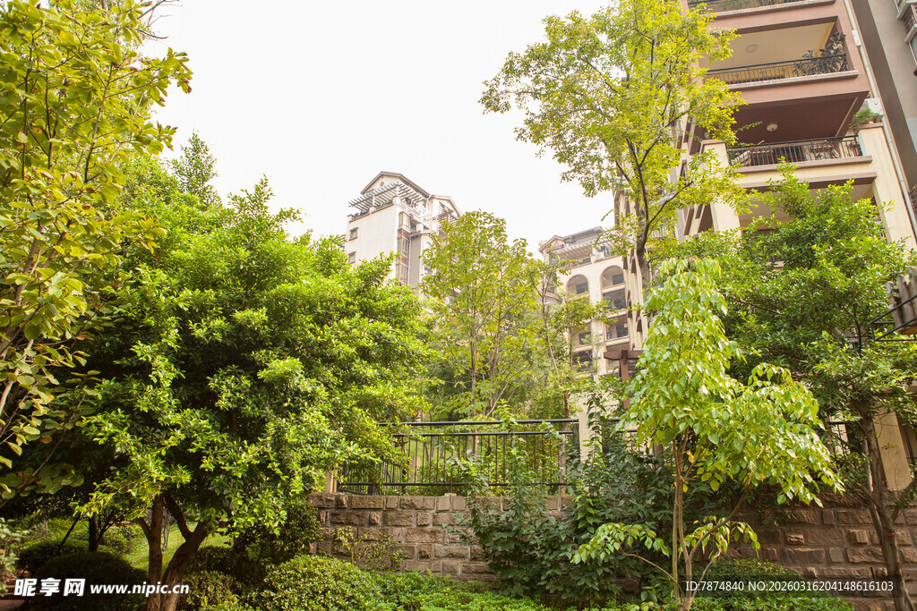 小区绿植环绕的居住环境