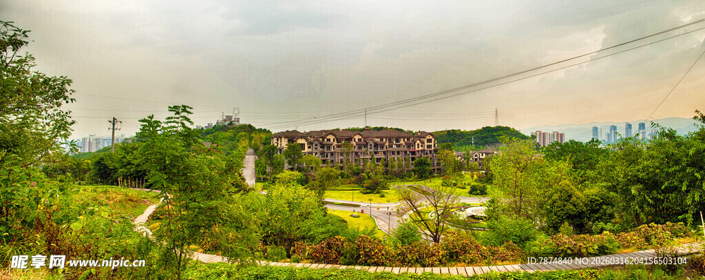 自然风光中的蜿蜒道路