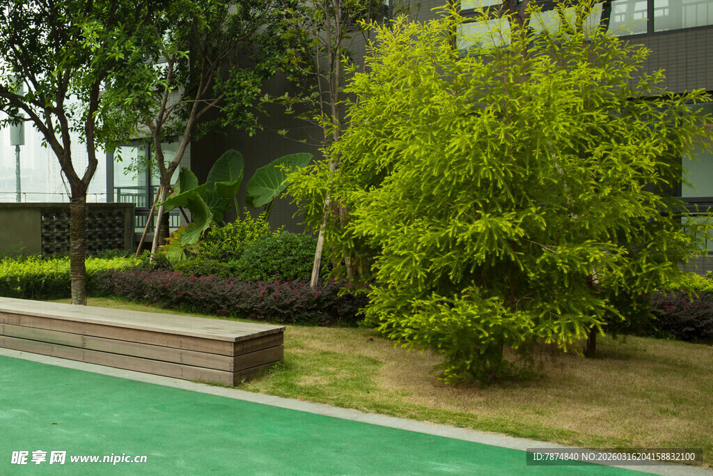 户外绿植环绕的绿色场地